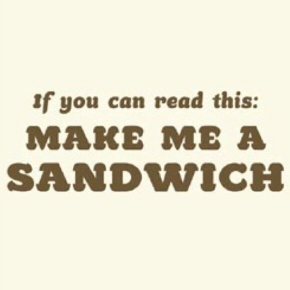 THREADLESS GEEKY HUMOR TEE IF YOU CAN READ THIS MAKE ME A SANDWICH L - Picture 1 of 4